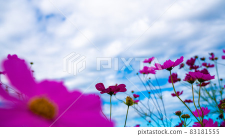 藍天和宇宙 83181555