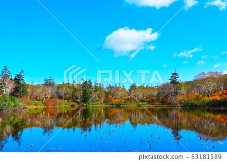 Full view of Shinsennuma, Iwanai-gun, Hokkaido Autumn & Autumn leaves & Fine weather 83181589