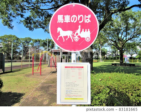 馬車平台/JRA宮崎駿養殖場 馬車平台/JRA宮崎駿養殖場 83181665