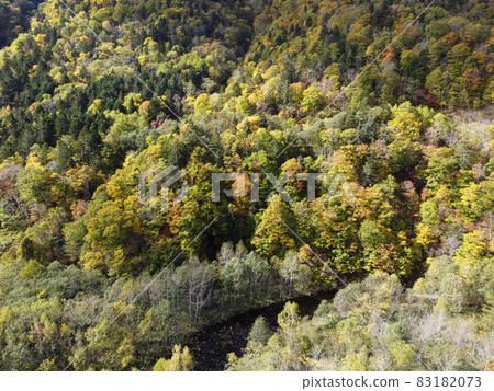 Aerial view of Jozankei-Asari Pass in autumn in Hokkaido when the autumn leaves are in full bloom Aerial view of Jozankei-Asari Pass in autumn in Hokkaido when the autumn leaves are in full bloom 83182073