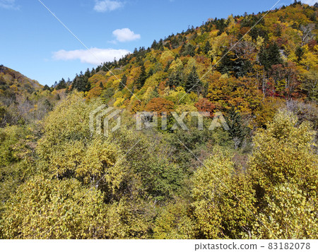秋葉盛開時的北海道秋日定山溪朝里山口鳥瞰圖 秋葉盛開時的北海道秋日定山溪朝里山口鳥瞰圖 83182078