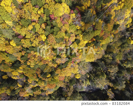 Autumn Hokkaido Jozankei-Asari Pass in full bloom (overview) Autumn Hokkaido Jozankei-Asari Pass in full bloom (overview) 83182084