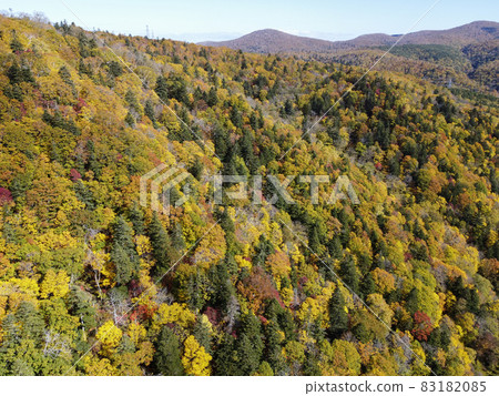 Aerial view of Jozankei-Asari Pass in autumn in Hokkaido when the autumn leaves are in full bloom Aerial view of Jozankei-Asari Pass in autumn in Hokkaido when the autumn leaves are in full bloom 83182085