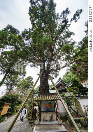 [No. 2 Fudasho] Gokuraku Temple Chomeisugi [88 places in Shikoku] 83182174