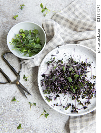 Assortment of micro greens on wooden table Assortment of micro greens on wooden table 83184175