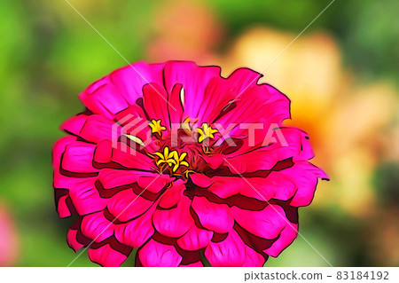 粉彩般的“七彩百日草”插圖圖像 83184192