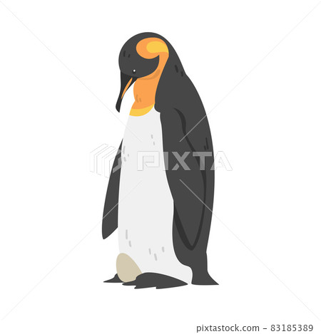 Emperor Penguin as Aquatic Flightless Bird with Flippers for Swimming in Standing Pose Vector Illustration Emperor Penguin as Aquatic Flightless Bird with Flippers for Swimming in Standing Pose Vector Illustration 83185389