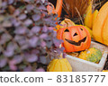 Pumpkin lantern 83185777