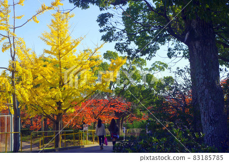 Girl hunting autumn leaves 83185785