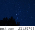 滿天星斗的天空和樹 83185795