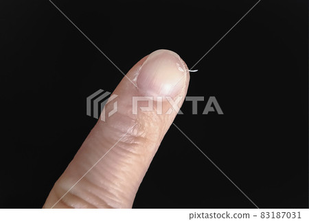 有缺口並有兩個釘子的爪子 有缺口並有兩個釘子的爪子 83187031