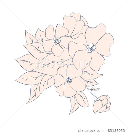 illustration brown beige nude flower, one line drawing, line art, modern illustration and art, nature and plants minimalist design illustration brown beige nude flower, one line drawing, line art, modern illustration and art, nature and plants minimalist design 83187053