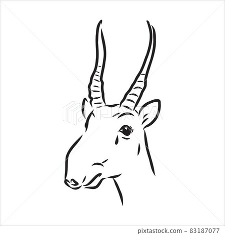 vector silhouette saiga on white background saiga animal vector 83187077