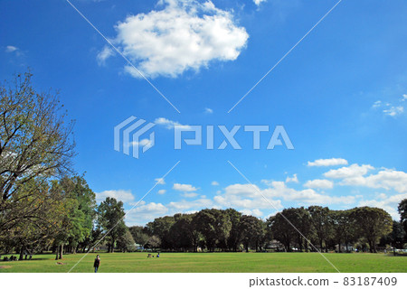  藍天和雲彩 83187409