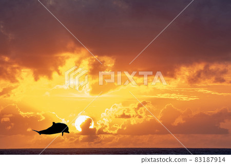 Wonderful sunset in french polynesia 83187914