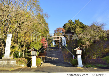 茨城縣水戶市常盤神社 茨城縣水戶市常盤神社 83189956