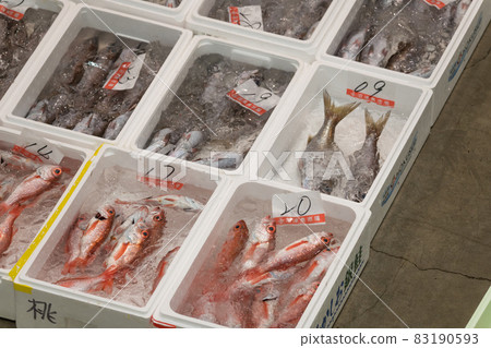 [Fish Market Akamut] 83190593