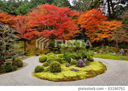 Autumn leaves in the garden as seen from the Daishoin 83190762