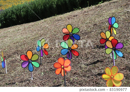 Landscape with colorful feather windmills on the slopes of dead grass 83190977