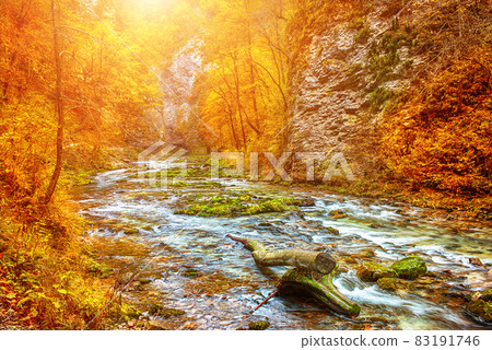 Vintgar gorge, Slovenia 83191746
