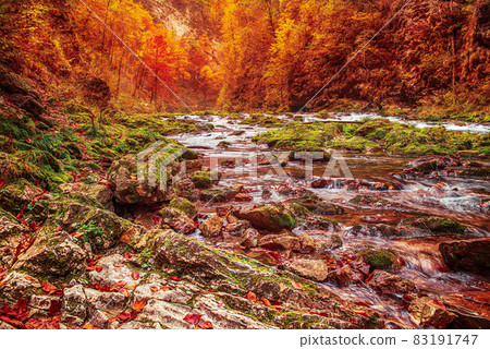 Vintgar gorge, Slovenia Vintgar gorge, Slovenia 83191747