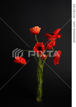 Remembrance Day greeting card. Beautiful red poppies flowers on black background. Lest we forget. Remembrance Day greeting card. Beautiful red poppies flowers on black background. Lest we forget. 83192181