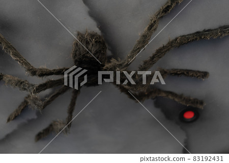 Artificial Big Black Spider Halloween Background 83192431