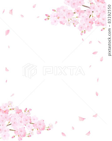 Beautiful and gorgeous cherry blossoms and petals fluttering spring white background vector material illustration 83192550