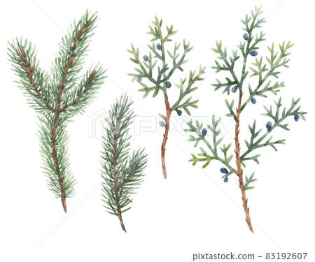 Beautiful floral christmas set with hand drawn watercolor winter fir tree branches. Stock 2022 winter illustration. Beautiful floral christmas set with hand drawn watercolor winter fir tree branches. Stock 2022 winter illustration. 83192607