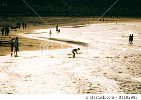 Qingdao Beach Nichinan City, Miyazaki Prefecture 83192985