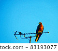 Hawk perched on the receiving antenna 83193077