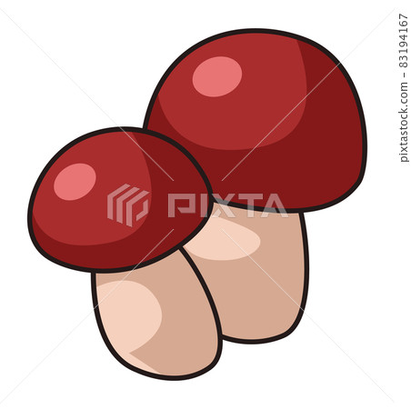 Cep mushrooms. Penny bun, porcino or porcini fungus Cep mushrooms. Penny bun, porcino or porcini fungus 83194167