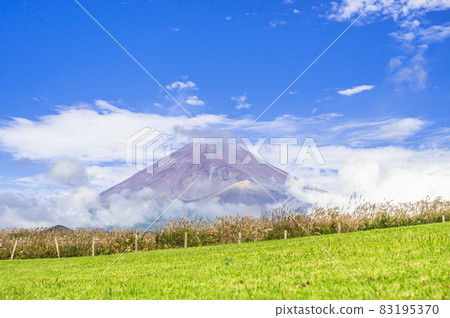 Fuji and Susukino in Autumn Fuji and Susukino in Autumn 83195370