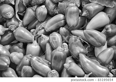 Small and cute vegetables with mini paprika monochrome 83195654