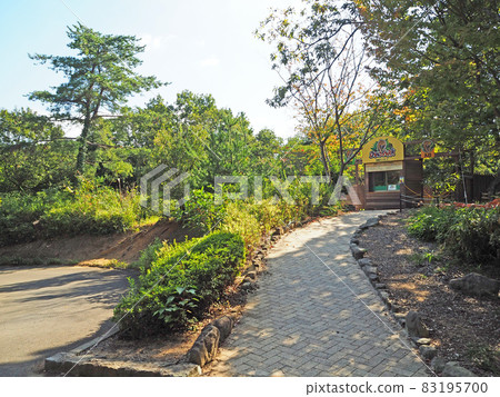 位於北九州響灘綠地的綠色公園恐龍公園 位於北九州響灘綠地的綠色公園恐龍公園 83195700