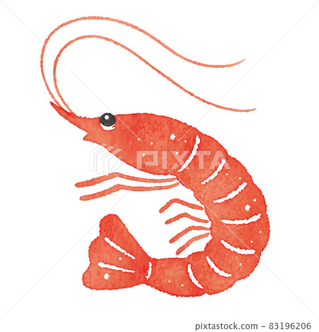 Red shrimp 83196206
