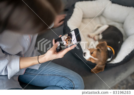 A girl making photos of a puppy on her smartphone 83196283