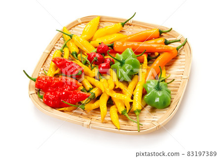 6 kinds of spicy pepper set 6 kinds of spicy pepper set 83197389