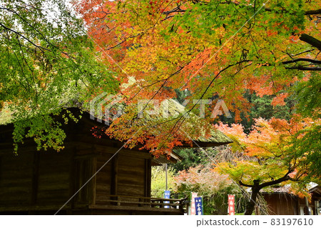 秋葉與寺廟神社 秋葉與寺廟神社 83197610