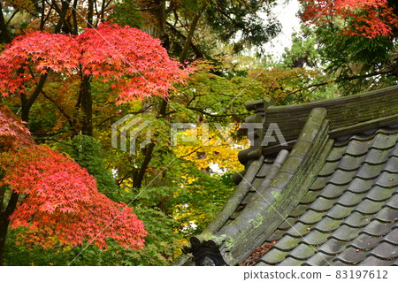 Japanese house and autumn leaves Japanese house and autumn leaves 83197612