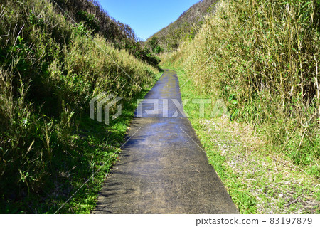 Landscape of Osen-Korogashi in Chiba prefecture in 2021 83197879