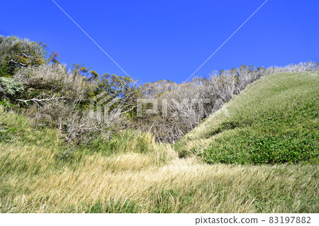 Landscape of Osen-Korogashi in Chiba prefecture in 2021 Landscape of Osen-Korogashi in Chiba prefecture in 2021 83197882