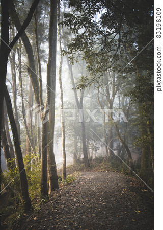 Fogy landscape Fogy landscape 83198109