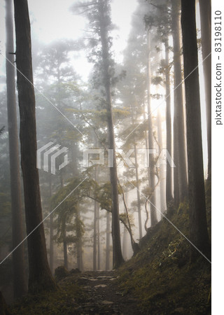 Fogy landscape Fogy landscape 83198110