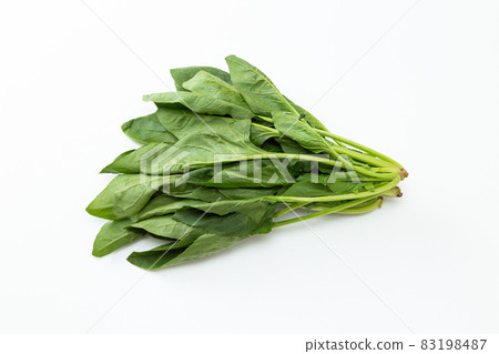 菠菜白色背景 83198487