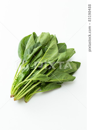 菠菜白色背景 83198488