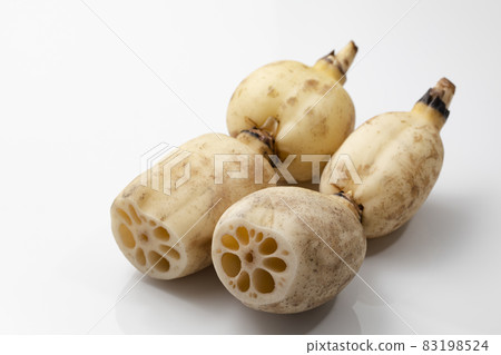 Lotus root on white background 83198524