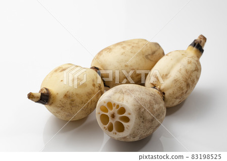 在白色背景上的蓮藕 在白色背景上的蓮藕 83198525