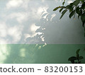 Copy space on the wall, tree shade. 83200153