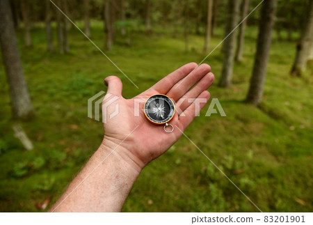 Compass in hand at forest. Tourist compass for orientation on the terrain.  83201901